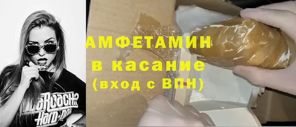 индика Богородицк