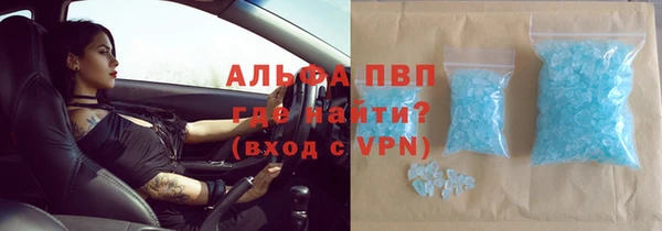 индика Богородицк