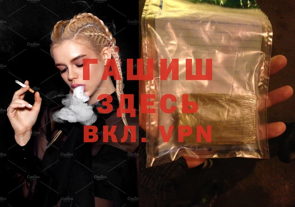 индика Богородицк